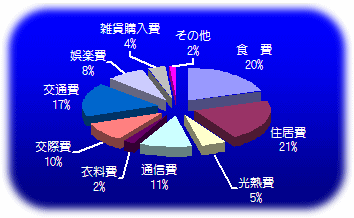 家計簿費目年間割合