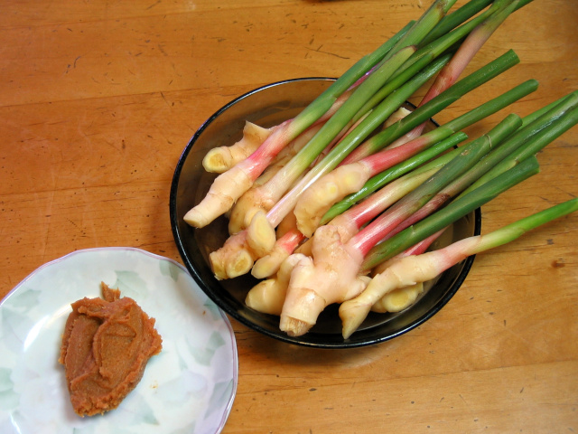 単身赴任の料理　新生姜